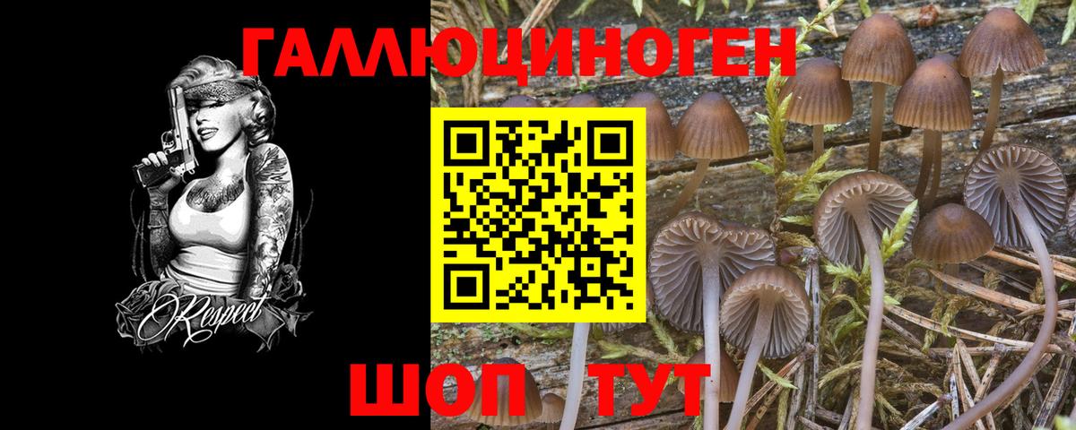 Псилоцибиновые грибы Psilocybine cubensis  Вход с VPN  Пугачёв 
